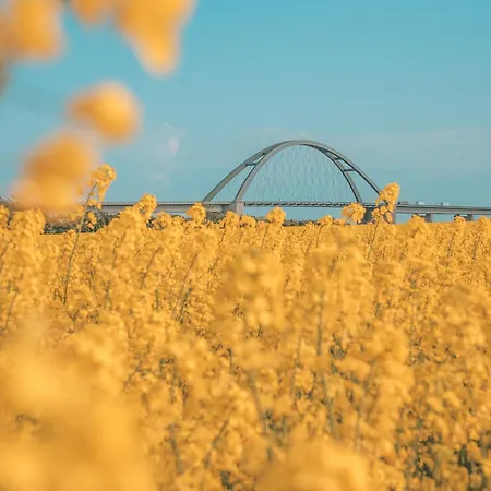 Tibu - Mietwohnwagen *